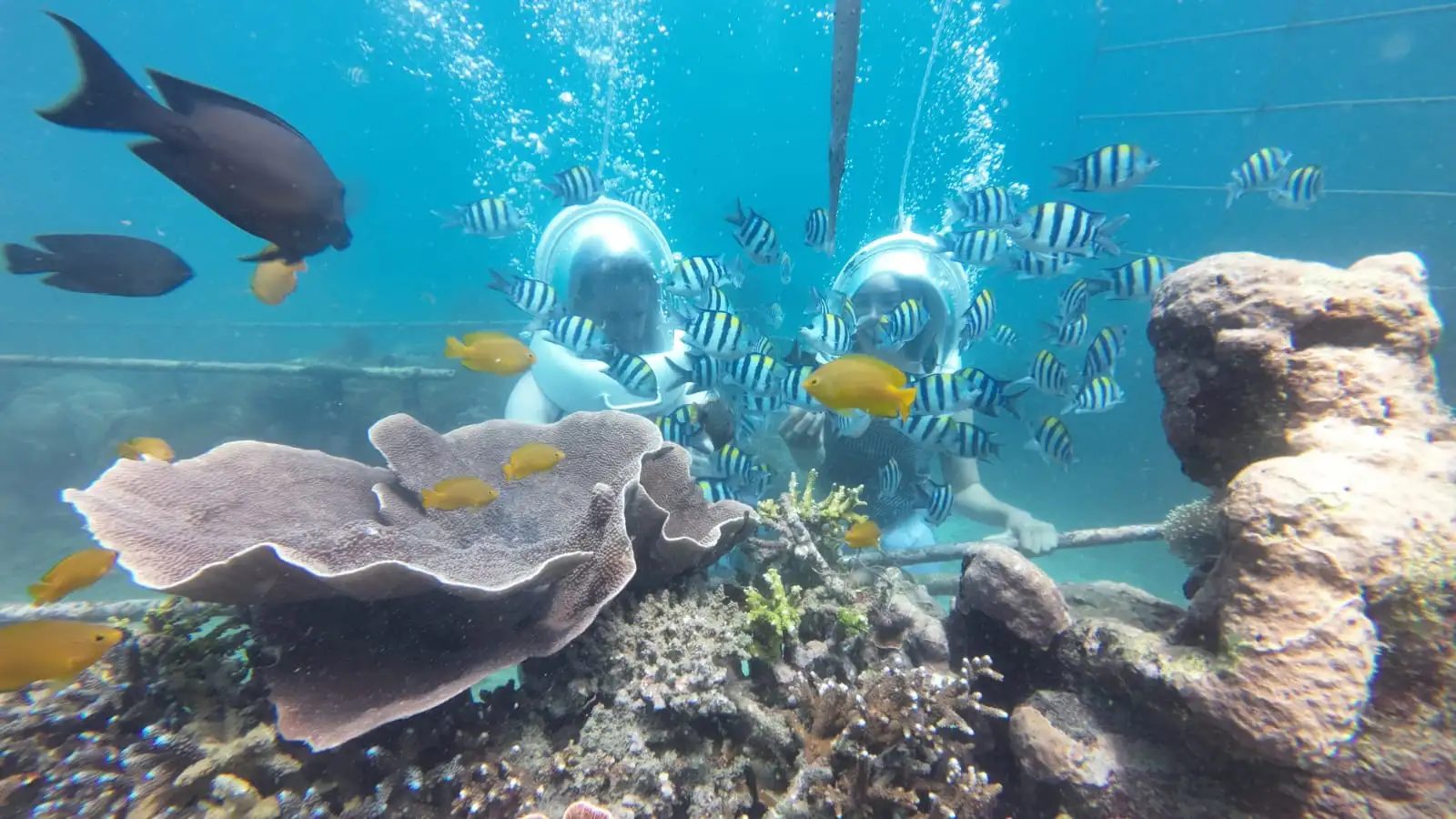 Guests underwater in full-view helmets, Nusa Dua