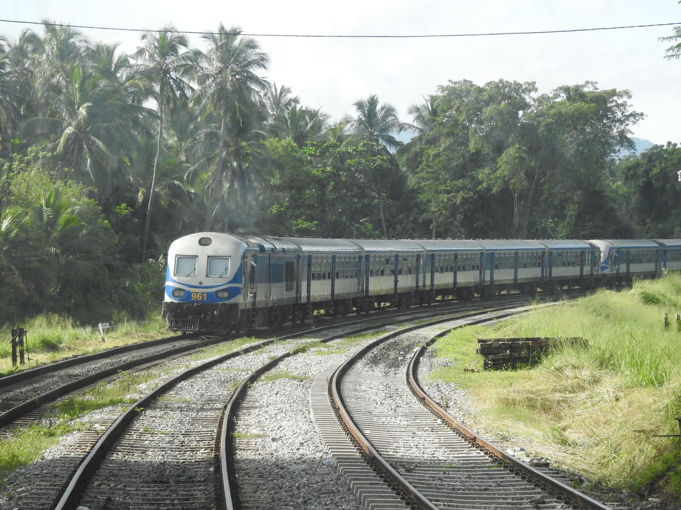 Sri Lanka'da dağ hattında ilerleyen tren