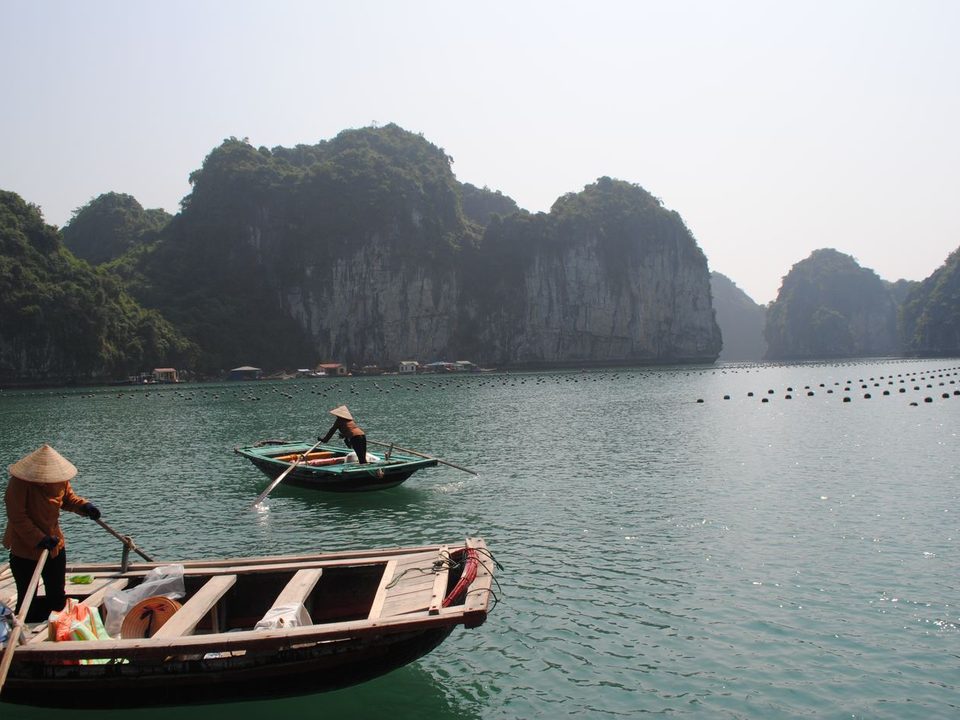 Vietnam'da Ha Long Koyu'nun kireçtaşı adaları